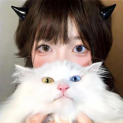 游侠英雄